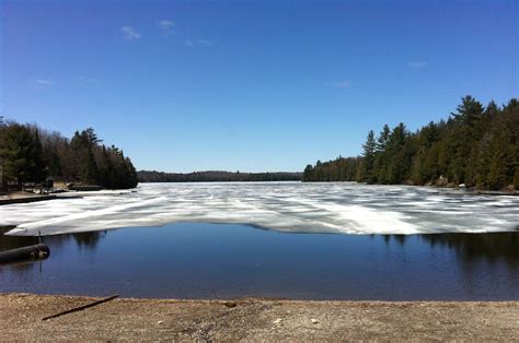 Looks like we're getting close - Canoe Lake Ice-Out