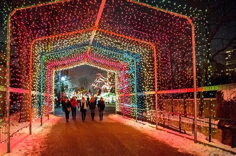 ZooLights Opening Weekend — KM Living