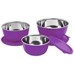 Buy Signoraware Classic Microwave Safe Bowl/Container Set - High Quality, Violet Online at Best ...