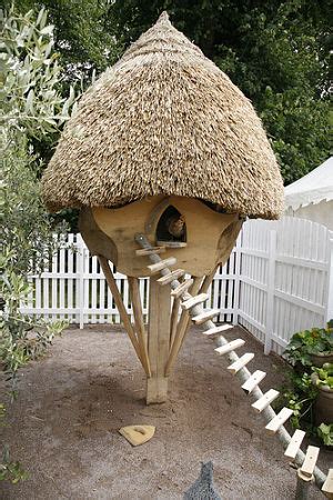 Unusual Chicken Coop Designs - One Hundred Dollars a Month