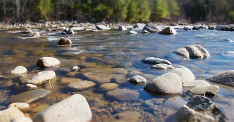 Gray Stones · Free Stock Photo