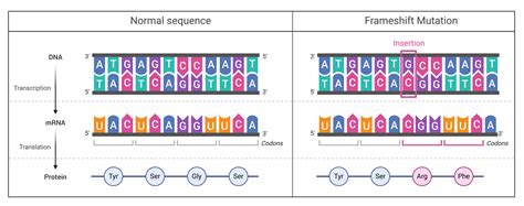 Glossary | Genome Sciences Centre