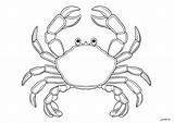 Crab To Download  Coloring Pages sketch template