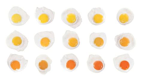 Different yolks for different folks: Why we judge an egg by its colour - The Globe and Mail