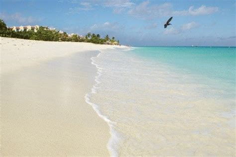 Eagle Beach is one of the very best things to do in Aruba