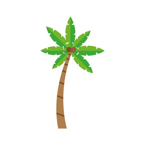 tropical tree palm 3822195 Vector Art at Vecteezy