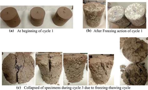 Freezing–thawing durability test performance of kaolin soil (no cement... | Download Scientific ...