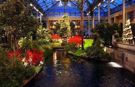 Christmas in the East Conservatory at Longwood Gardens, 2005 | Longwood gardens, Christmas ...