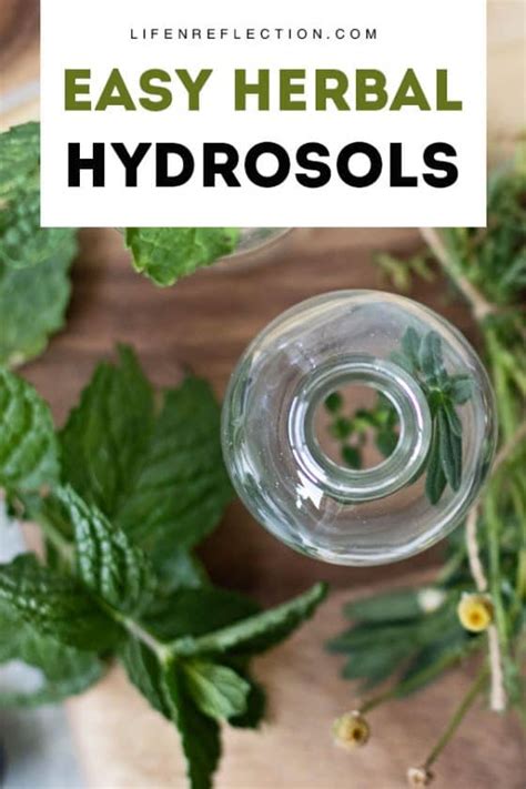 How to Make a Hydrosol with Fresh or Dried Herbs