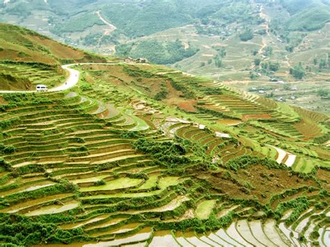 Our Serene Planet: Rice Terraces, Lào Cai, Vietnam