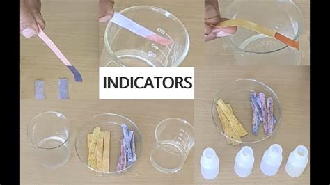 Science Experiment | How to make Natural Indicators | home made ...