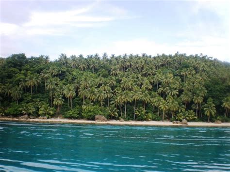 10 Best Islands & Beaches in Leyte Province for Tropical Getaways