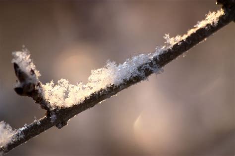 Öregrund free images: Vinterbilder. Snö, snöflingor och snöstjärnor