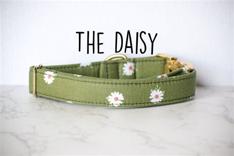 Daisy Dog Collar, Floral Dog Collar - Etsy