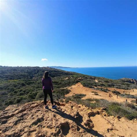 8 Torrey Pines Hiking Trails in Southern California | Diana's Healthy ...