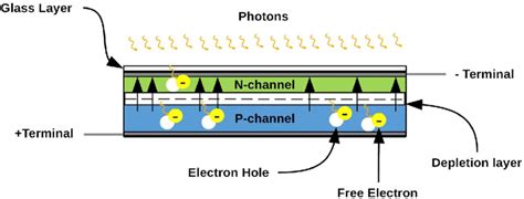 The internal structure of a silicon solar cell. | Download Scientific ...