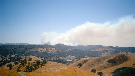 Plant and architectural lessons from the Woolsey Fire in Malibu