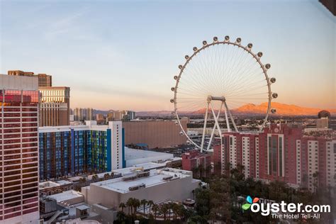 Flamingo Las Vegas Hotel & Casino - The Go Room at the Flamingo Las ...