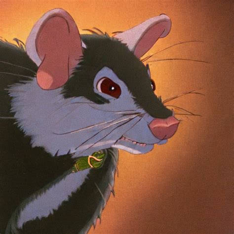 The story behind the rats of NIMH – DNA.today