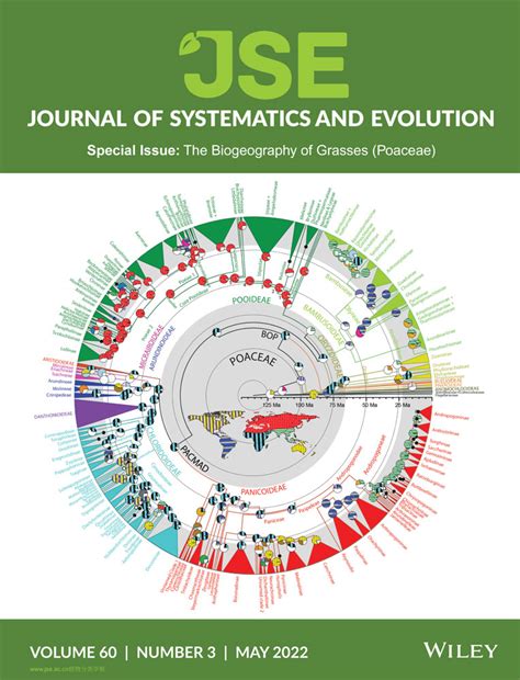 A worldwide phylogenetic classification of the Poaceae (Gramineae) III ...