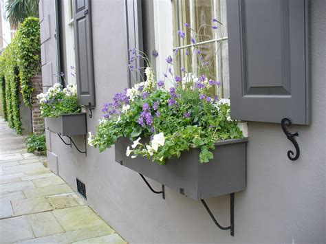 My Notting Hill: Gardens, Gates & Doors