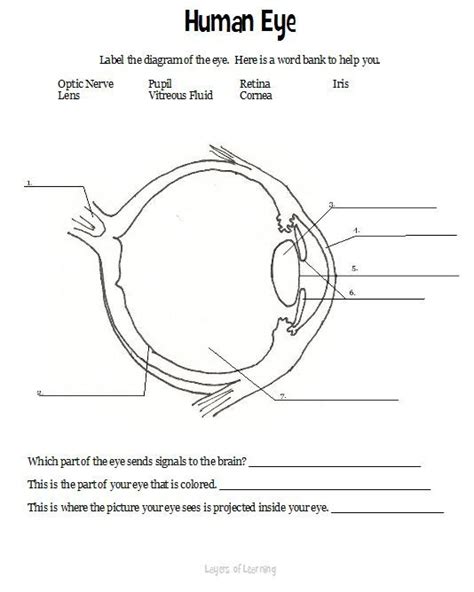 Eyeball Diagram Quiz