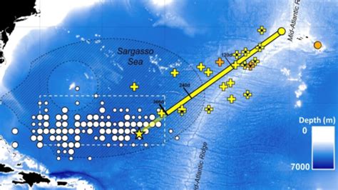 This map solves a century-old mystery about eels - Big Think