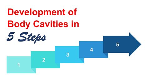 Development of body cavities| Embryonic folding | Intraembryonic coelom ...