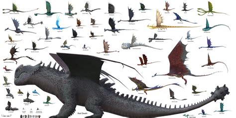 A size chart of all dragons found in School of Dragons [OC] | How to train dragon, How train ...