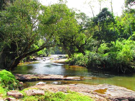 Tamilnadu Tourism: Anju Veedu Waterfalls, Kodaikanal