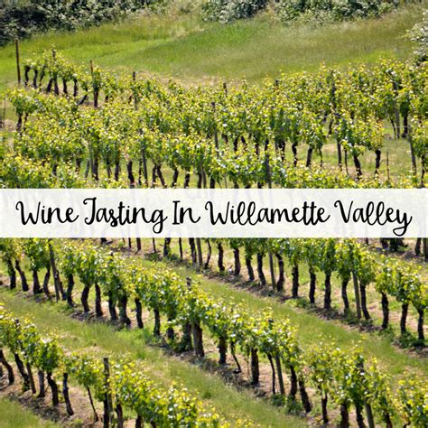 Wine Tasting In Willamette Valley - The Wandering Weekenders