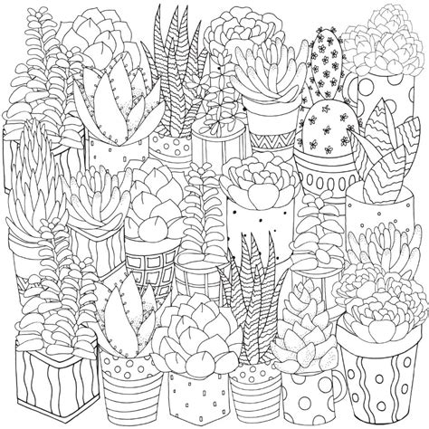 Free SUCCULENT Coloring Pages for Download (Printable PDF) - VerbNow