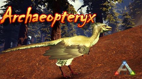 Ark Survival Evolved Archaeopteryx ! - YouTube