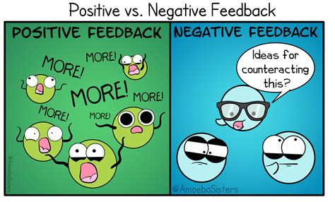 Positive and Negative Feedback - SCIENCE WITH THE AMOEBA SISTERS