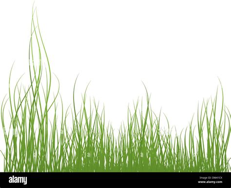 Green Grass and blue sky. Vector illustration Stock Vector Image & Art - Alamy