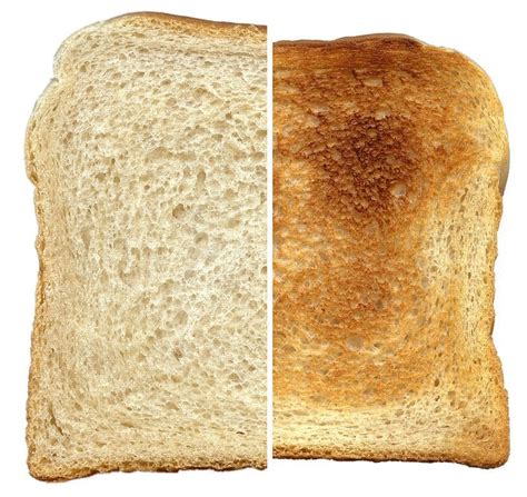 Is There More Calories In Toast Than Bread - Bread Poster