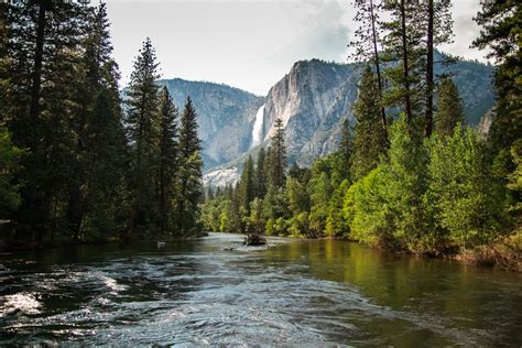 View of Yosemite Falls from the bridge above Merced River in Yosemite Valley National Park ...