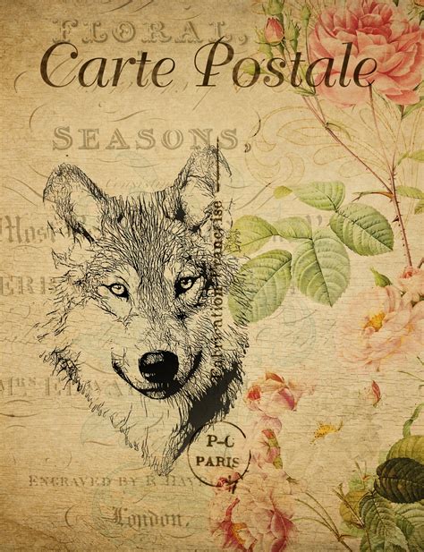 Carte postale vintage de loup Photo stock libre - Public Domain Pictures