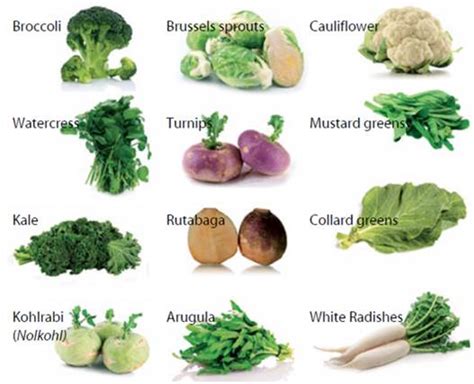 Characteristics and economic importance of Cruciferace (Brassicaceae ...