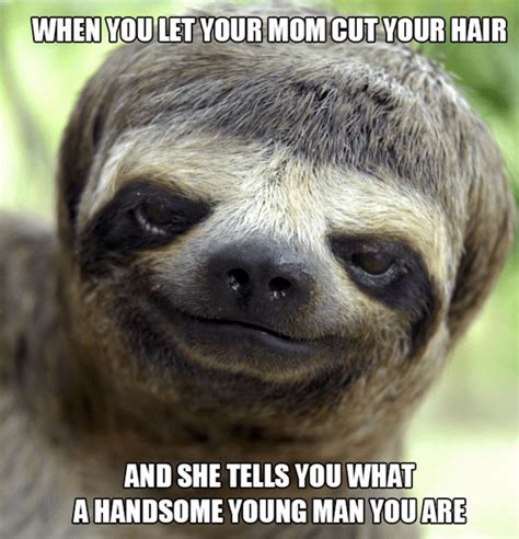 Celebrate International Sloth Day by Looking at These Memes Very, Very Slowly | Crazy funny ...