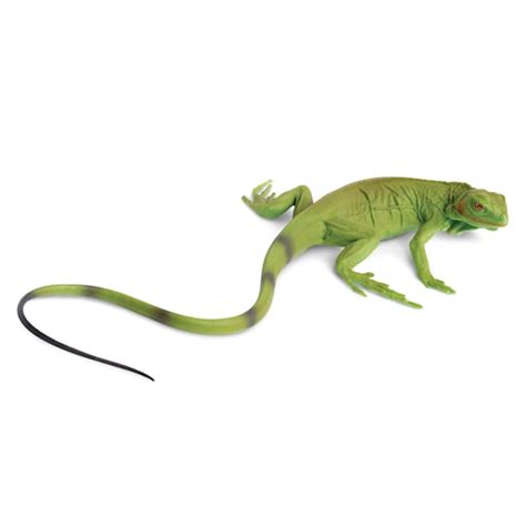 Safari Ltd Iguana Baby Toy Figure | Petco