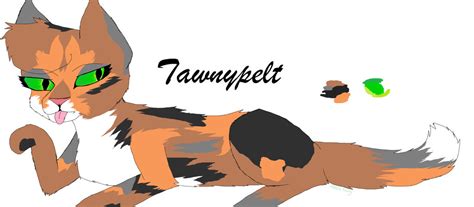 Warriors: Tawnypelt by RuneSkiamorph on DeviantArt