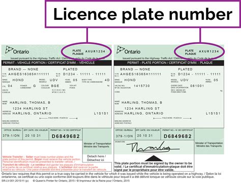 Licence plate expiry checker