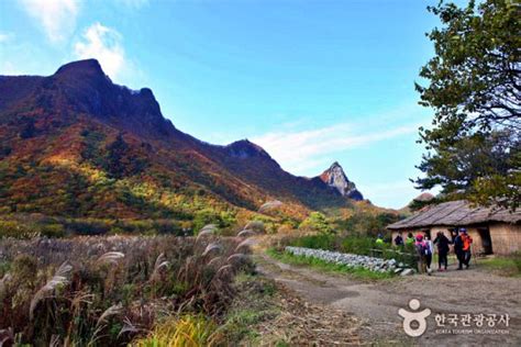 The Charm of Ulleungdo Island: Exploring a Hidden Gem in South Korea ...