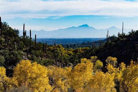 Tucson Sightseeing: 10Best Sights Reviews