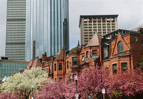 "Boston In Spring With Trees In Bloom" by Stocksy Contributor "Raymond ...