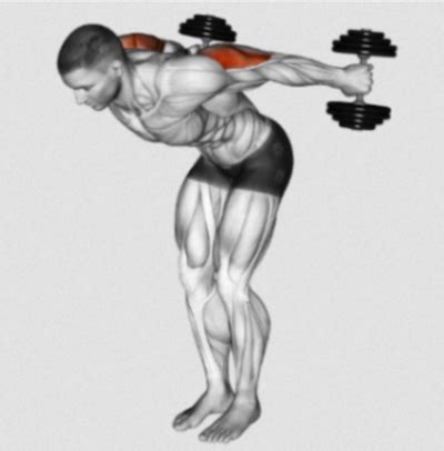 Tricep Dumbbell Kickback 101 | Form, Benefits And Variations!