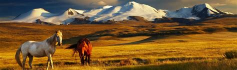 66 Interesting Facts about Mongolia | FactRetriever.com