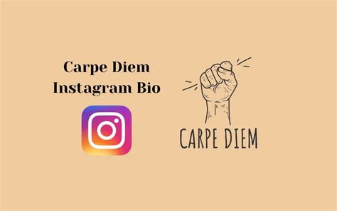 Best Carpe Diem Instagram Bio | Instagram Bio for Carpe Diem