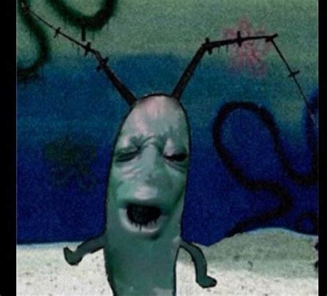 cursed_plankton : r/Cursed_Images